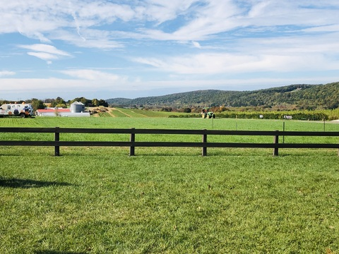 Gambar header OnlyFans celeb