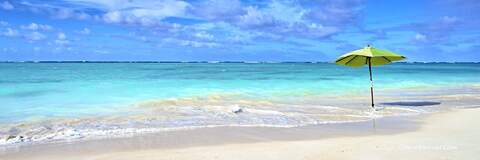 Снимка за заглавие на OnlyFans cherrishlulu