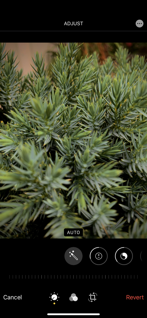 Gambar header OnlyFans chicagofatty