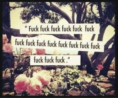 OnlyFans header picture chubbybbykitty