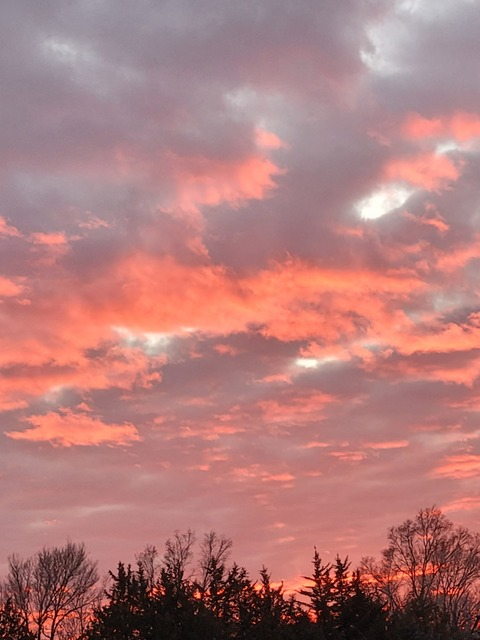 OnlyFans header picture chunkyxavocado