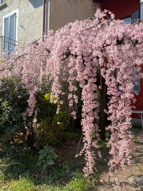 Imagen de encabezado de OnlyFans claudieeetta