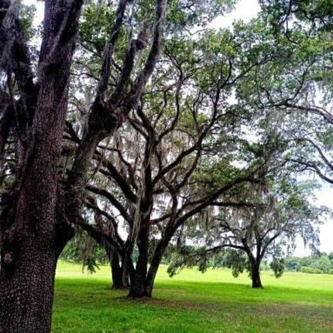 Photo d'en-tête OnlyFans de cliff