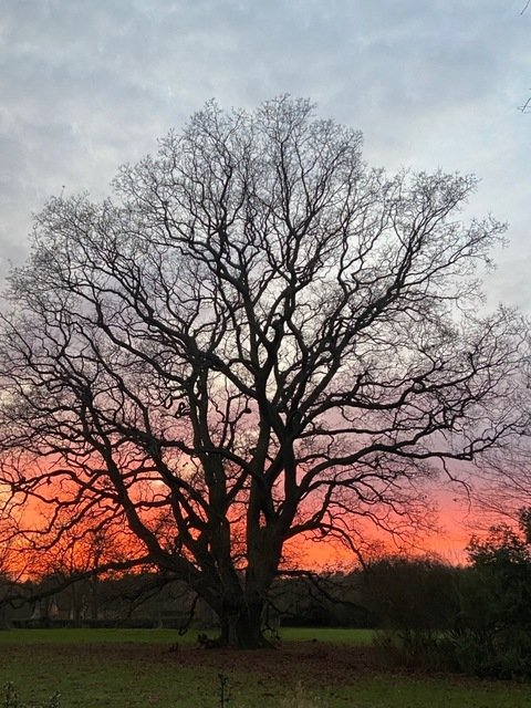 Header afbeelding van OnlyFans codyblackx