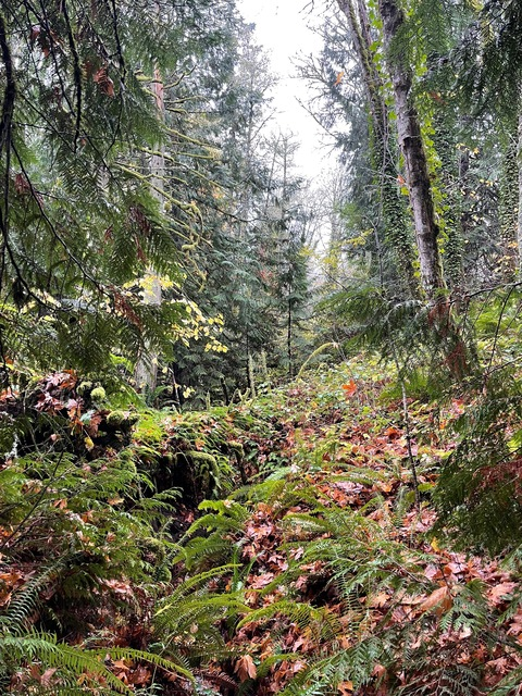 Gambar header OnlyFans collegebro4you