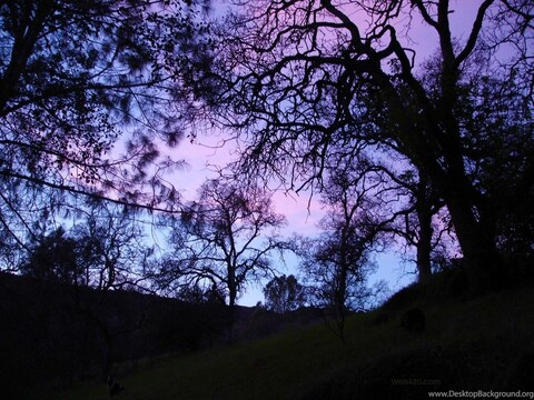 Header afbeelding van OnlyFans cutelilkitten