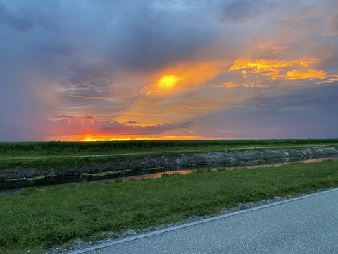 Immagine dell'header di OnlyFans cwb95299290