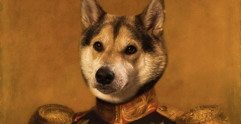 d0lldaddy님의 OnlyFans 헤더 사진