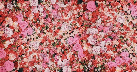 OnlyFans header picture damiensoft