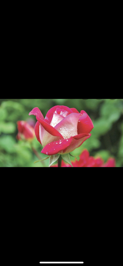 Zdjęcie nagłówka OnlyFans damnnssandy_