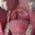 dana.the.lady.vore için OnlyFans profil resmi