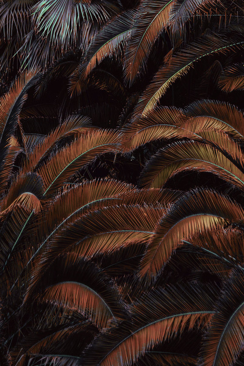 daniellepale님의 OnlyFans 헤더 사진