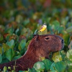 OnlyFansのプロフィール写真 datbitchbarbie