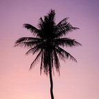 Photo de profil OnlyFans dawny.love.0