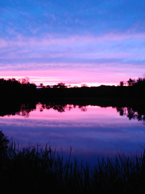 OnlyFans başlık resmi ddy_alex