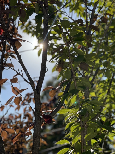 Photo d'en-tête OnlyFans de deathstrokedaddy