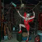 OnlyFans प्रोफाइल चित्र dinkytoy