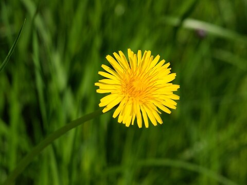 Gambar header OnlyFans divotaverlee