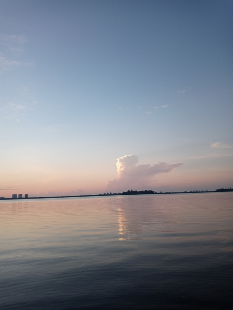 Header afbeelding van OnlyFans dmarie772