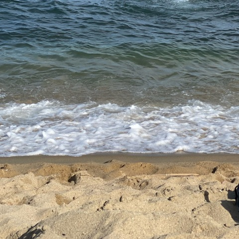 OnlyFansヘッダー画像domhairy