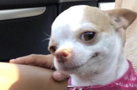 Снимка за заглавие на OnlyFans dreezydreaa