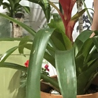 OnlyFans 프로필 사진 ds6789