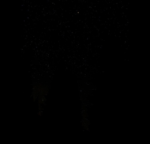 OnlyFans header picture ds6789