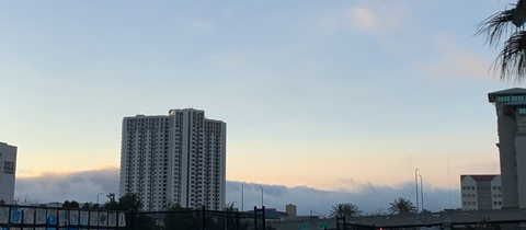 Фото заголовка OnlyFans dumbwh0rebunny