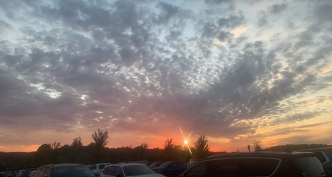 OnlyFans Titelbild dustycantfly