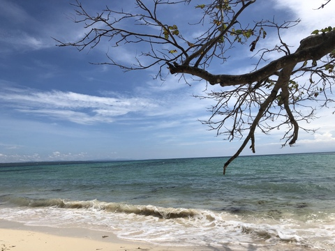 ओन्लीफैंस हैडर चित्र dxclx