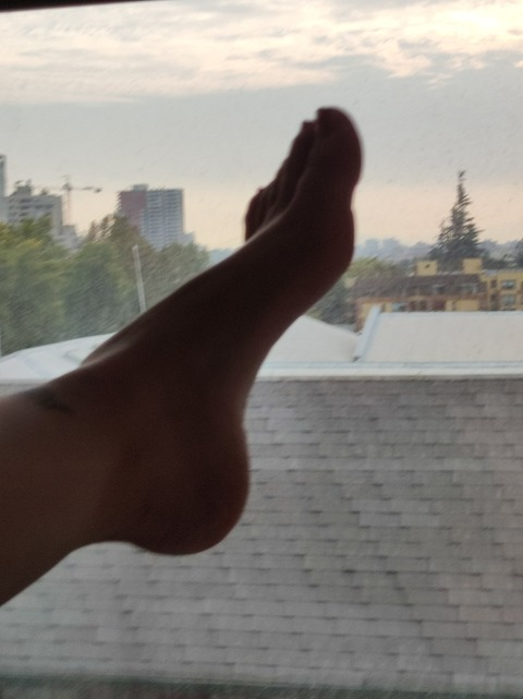 Imagem do cabeçalho do OnlyFans de egyalvip