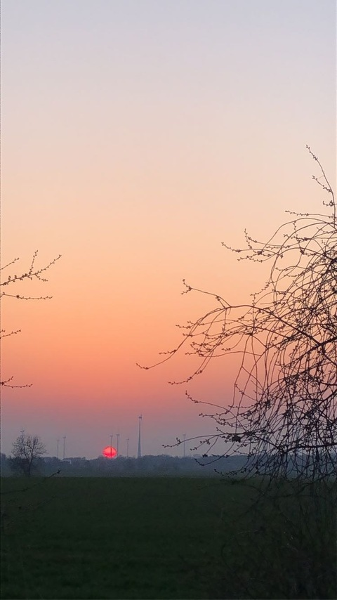 Фото заголовка OnlyFans eklektyzm