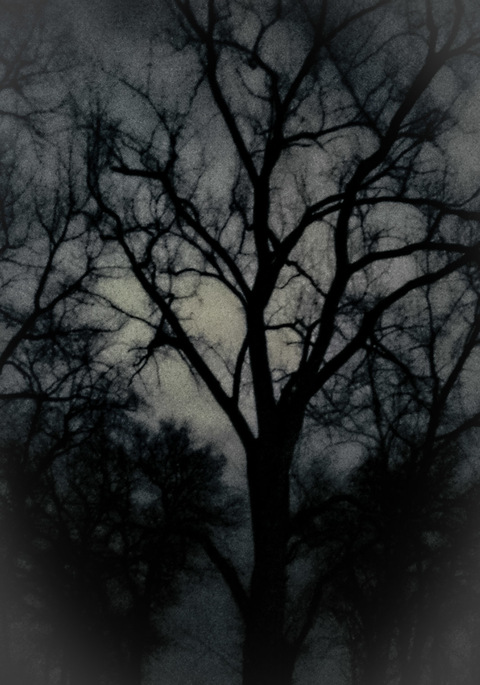 Снимка за заглавие на OnlyFans eldiresstreet