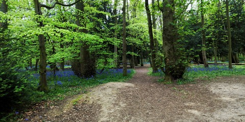 صورة رأس OnlyFans emily-nightt