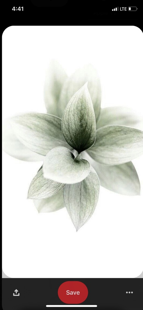 Снимка за заглавие на OnlyFans epaella