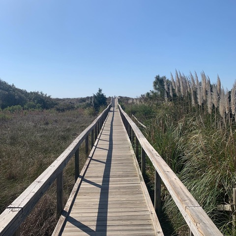 Снимка за заглавие на OnlyFans epdtravels