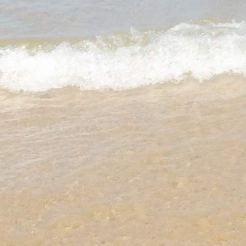 OnlyFans header picture erotica_1