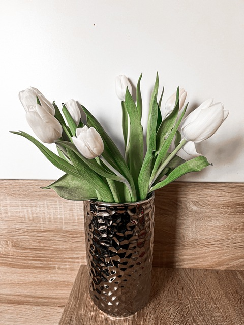 OnlyFans Titelbild eveliinngy