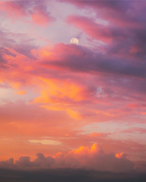 OnlyFans header picture f0rest_fairy