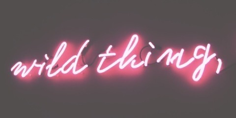 Imagem do cabeçalho do OnlyFans de fordisplayonly