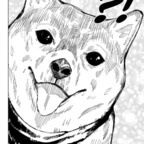 Foto de perfil do OnlyFans de foreverwandering