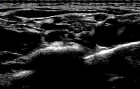 ओन्लीफैंस हैडर चित्र fr8siren