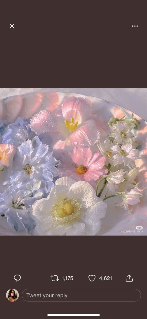 Header afbeelding van OnlyFans gaiaembodiment