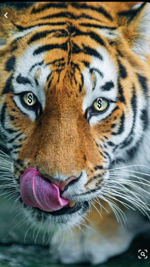 Imagen de encabezado de OnlyFans geenahhoe