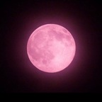 Профилна снимка на OnlyFans на goddesstouch619