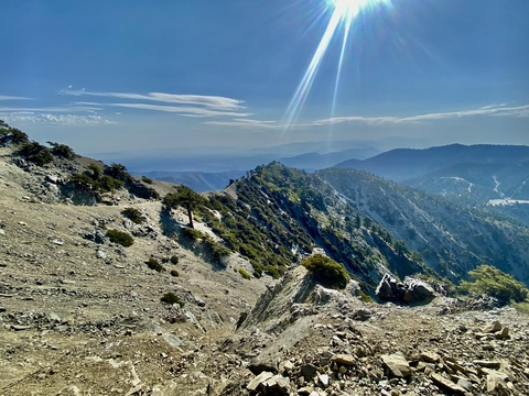 Gambar header OnlyFans godsharkxxx