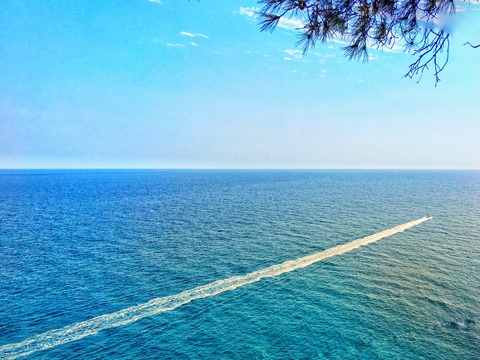 Снимка за заглавие на OnlyFans goprogirl333