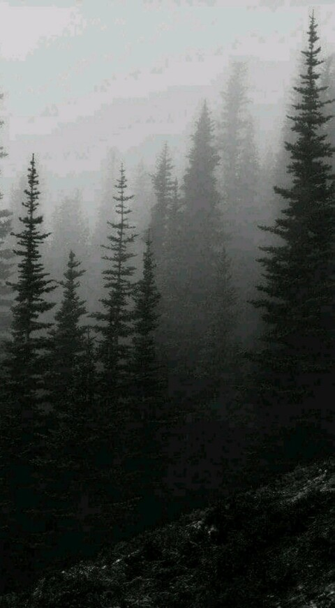 Photo d'en-tête OnlyFans de gothgirlsadistic