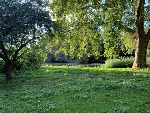 OnlyFans header picture griffinbarrows