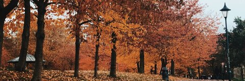 Imagem do cabeçalho do OnlyFans de gxbbybyrne